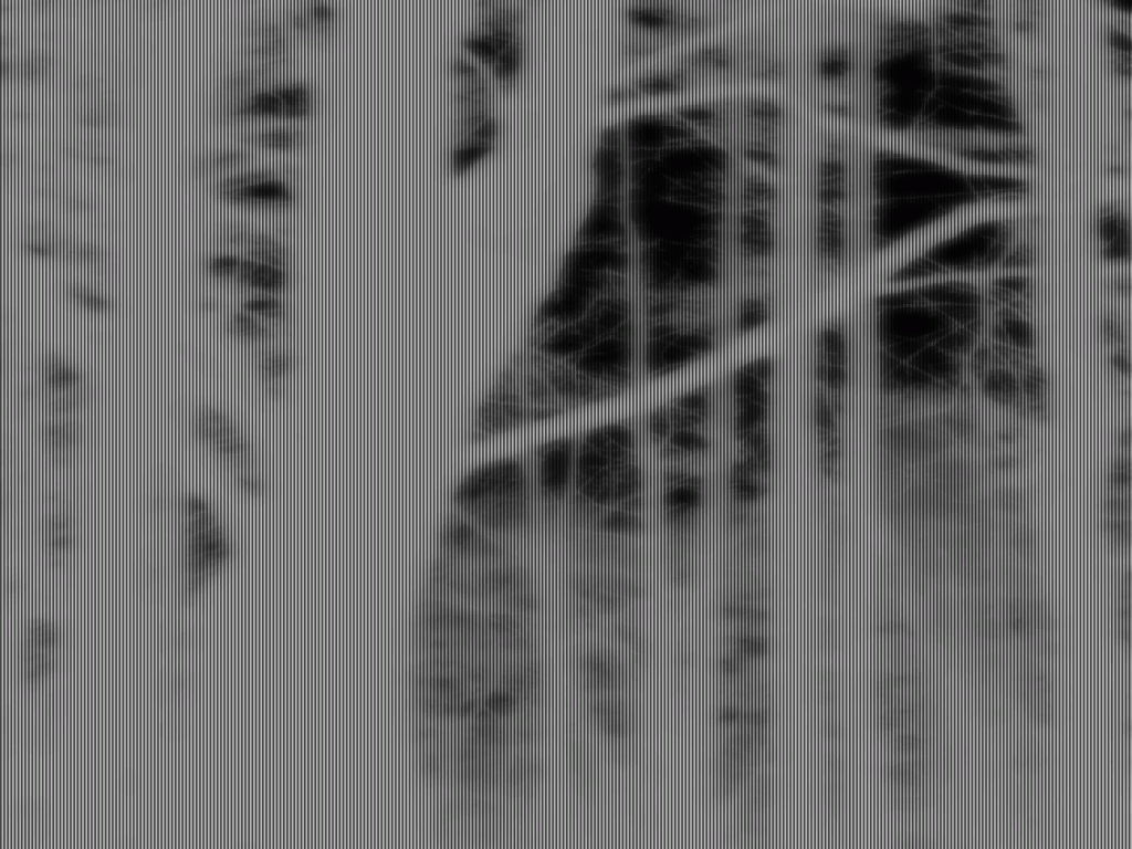 new-forest-cover