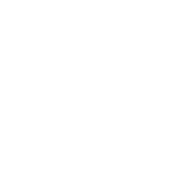 snake spinner animation